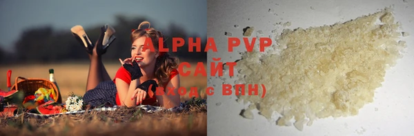 Альфа ПВП Бородино
