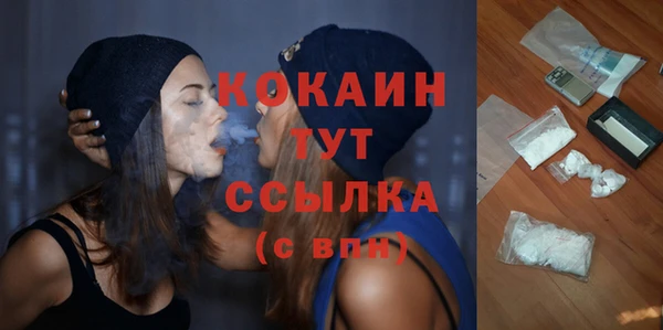 Альфа ПВП Бородино