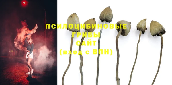 дмт Бугульма