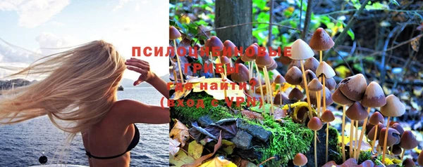 стаф Бронницы