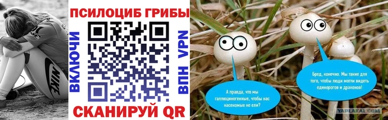 Псилоцибиновые грибы мицелий цена Петропавловск-Камчатский